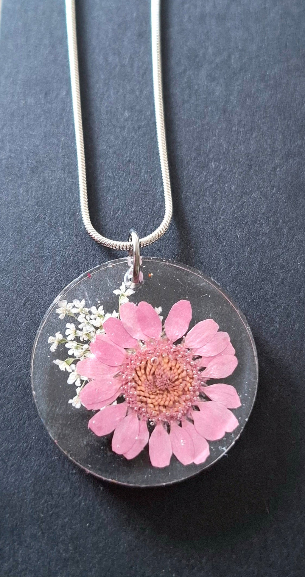 Fleur rose marguerite