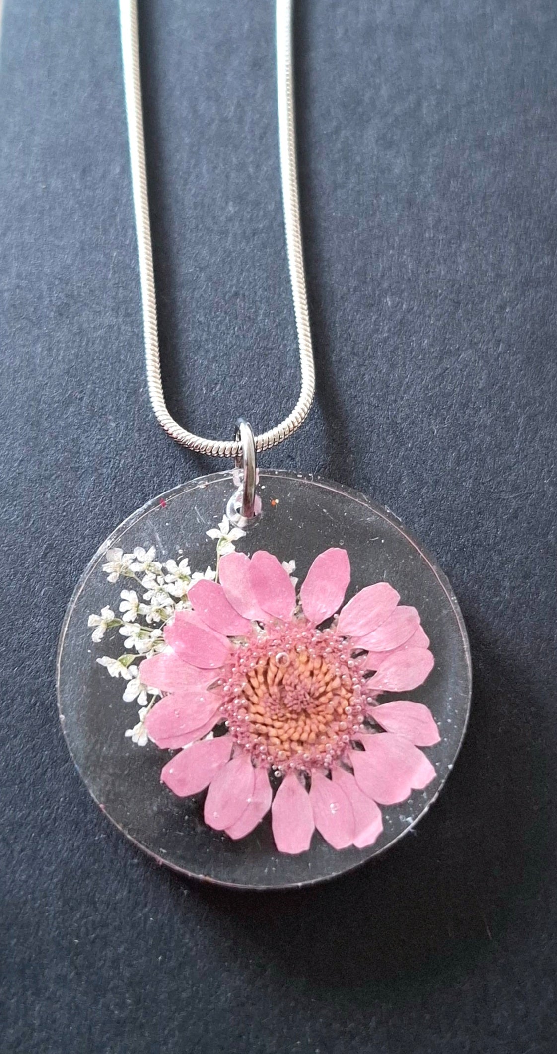 Fleur rose marguerite