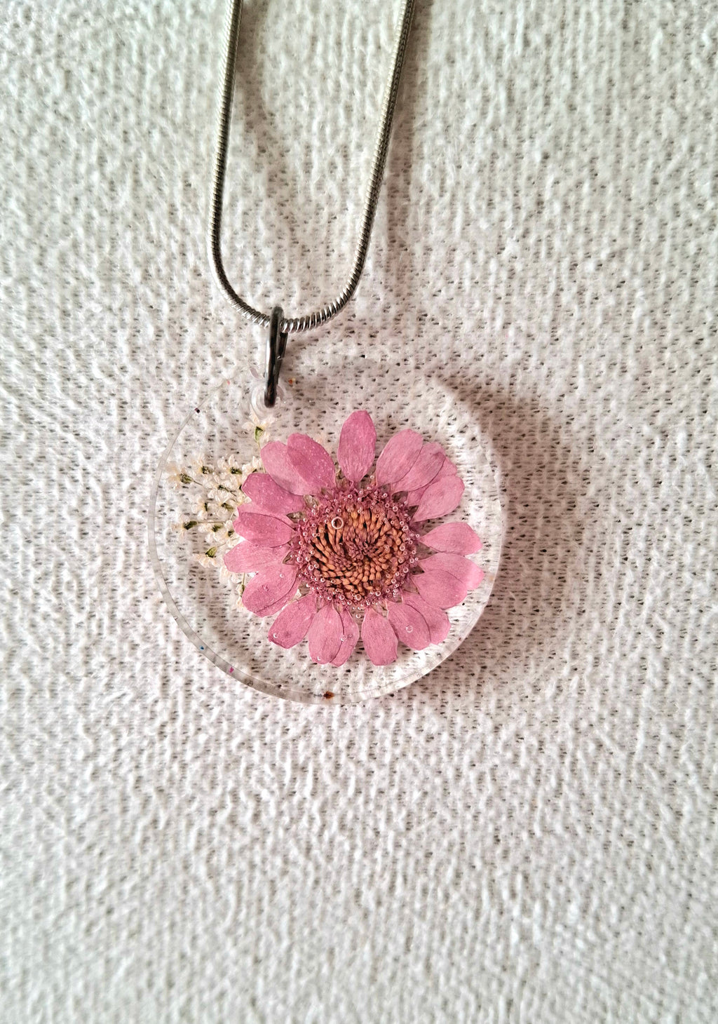 Fleur rose marguerite