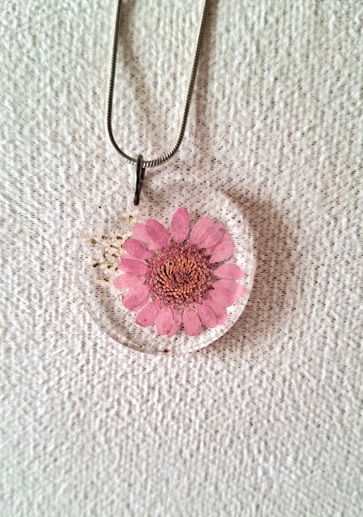 Fleur rose marguerite